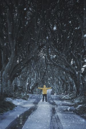 Unrecognizable person on beech trees tunnel in winter day