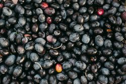 Heap of fresh plums