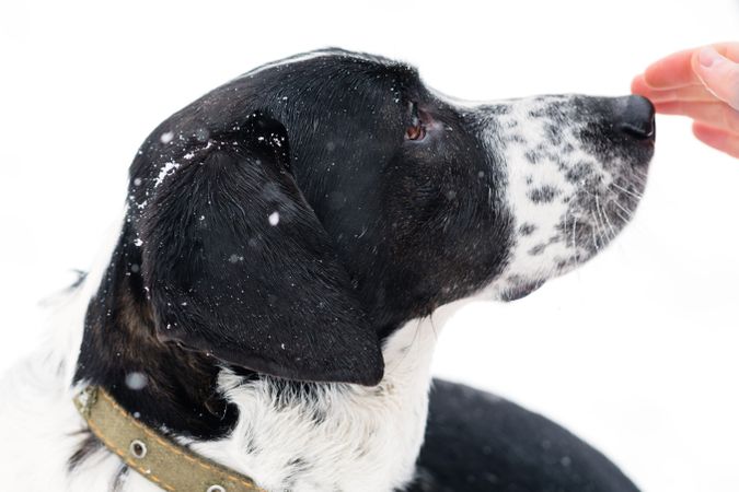 Winter's Gentle Touch