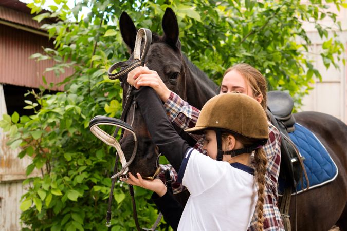 Hands adjusting a bridle on a horse.