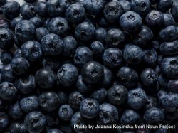 Texture of blueberries, close up flat lay 4NEkJe
