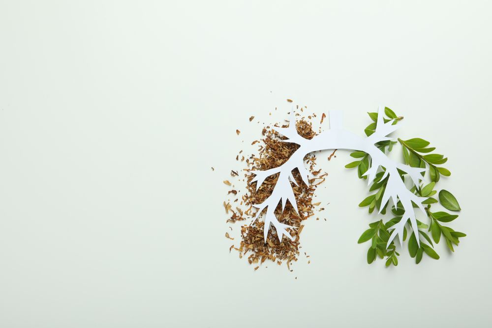 Half tobacco half foliage underneath making lung shape on plain paper with copy space