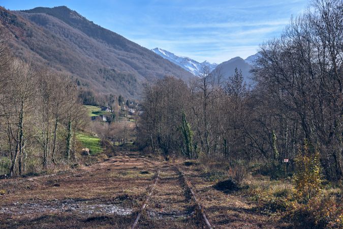 Old railroad overgrown with grass going among bare trees