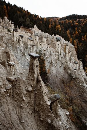 Big mountains near pine forest on cloudy weather