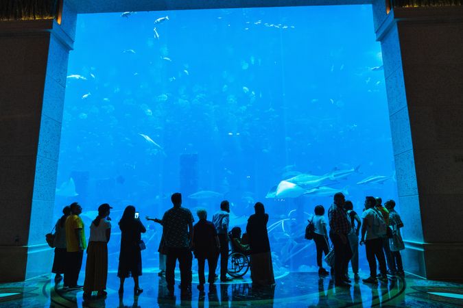 Tourists looking at huge aquarium