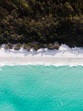 Aerial view of clear ocean water, sand, and green forest