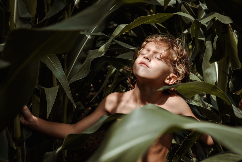 Calm child sunbathing among plants