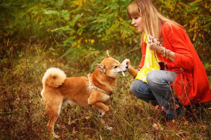 Female in red coat sitting down with stick for her her shibu dog in a park