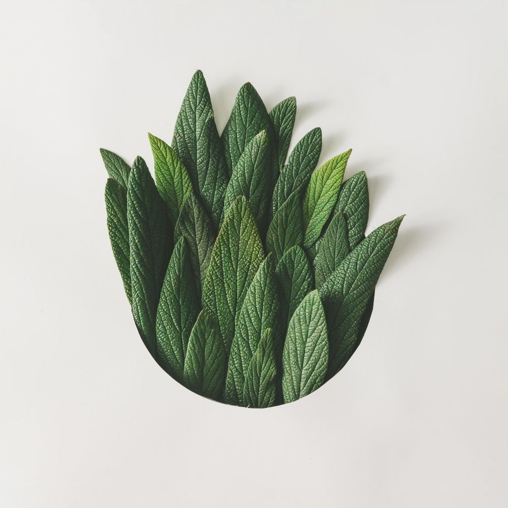 Green leaves emerging from circle on light  background
