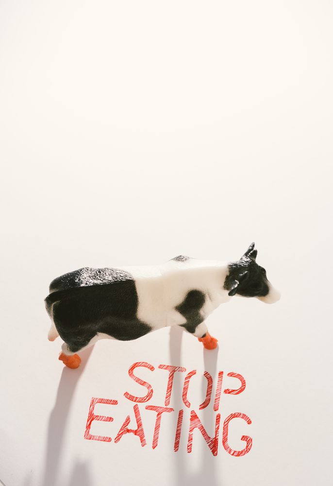 Slogan calling to stop eating animals