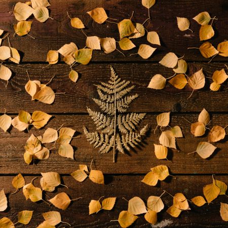 Golden leaf in shape of Christmas tree on autumn leaf wooden background