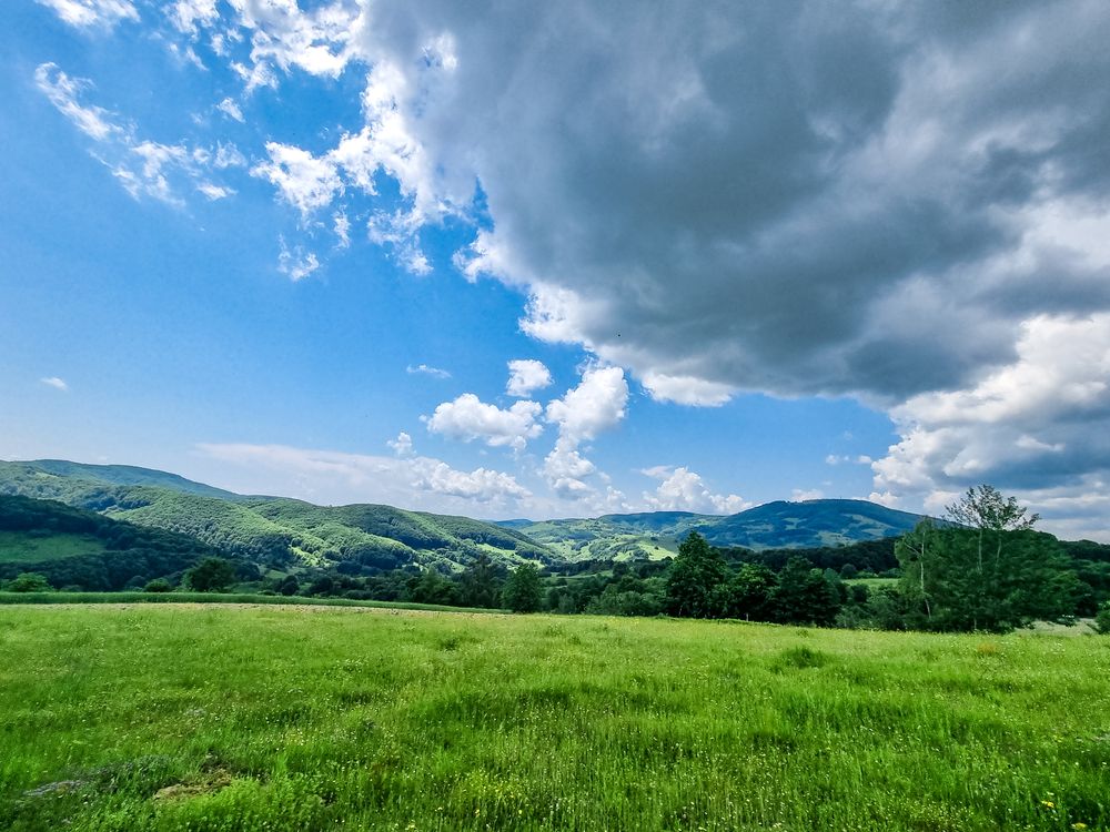 Sun-kissed skies over lush meadows