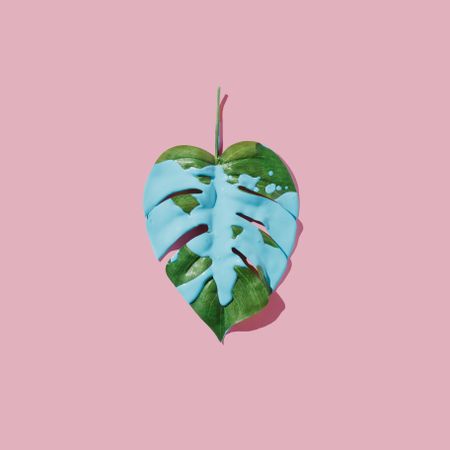 Blue paint splatter over tropical leaf on pink pastel