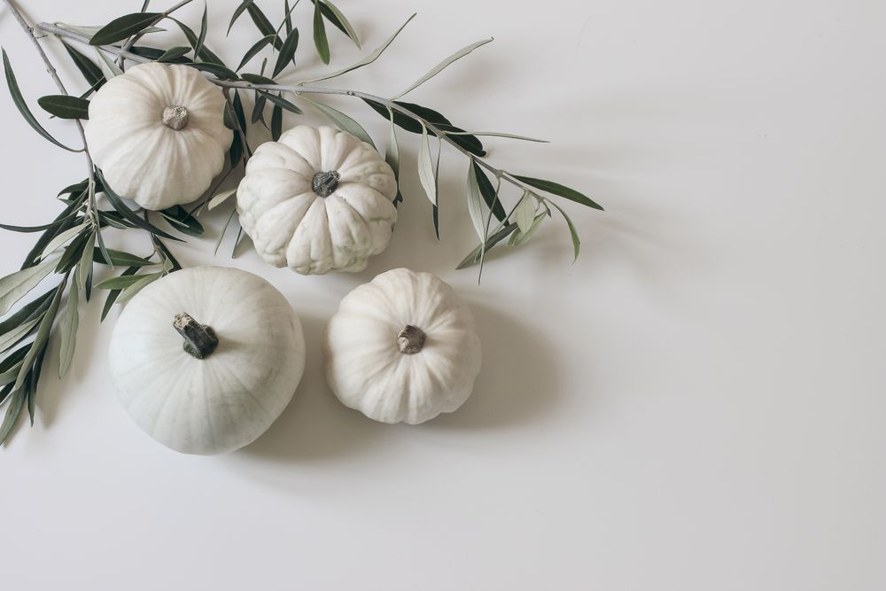 Autumn floral decorative corner, banner with little pumpkins and olive tree leaves