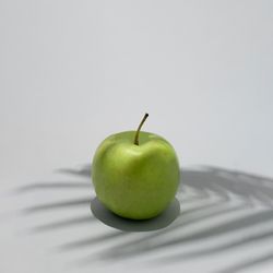 Apple under the sunny summer shade
