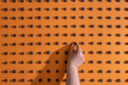 Woman arranging blueberry fruits symmetrically