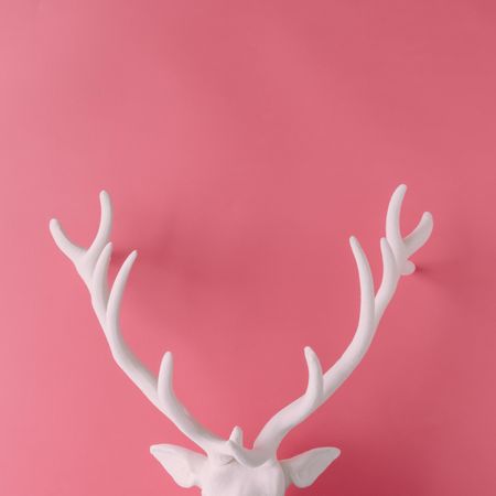 Reindeer head with antlers on pink background