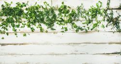 Healthy vegetarian cooking concept with copy space