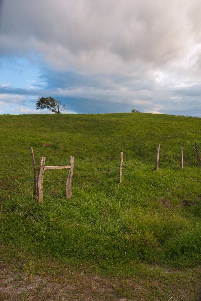 Bottom view of large grass field