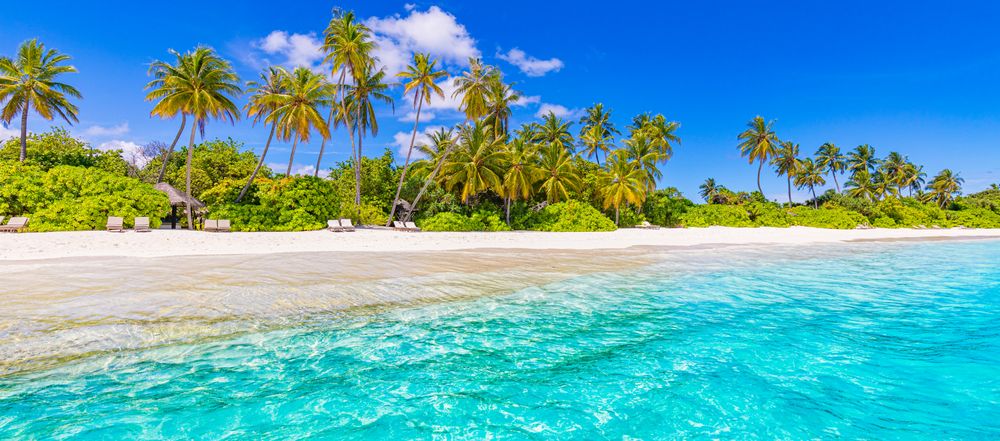 Banner shot of a beach waterfront with jungle and reclining chairs
