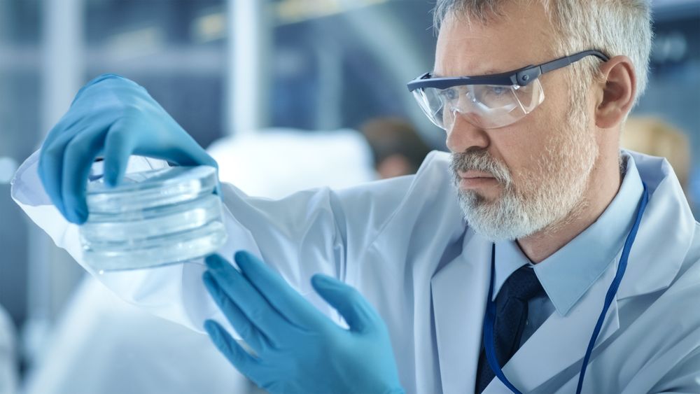 Close-up of a Medical Research Scientist Holds Cold Petri Dish with Samples.