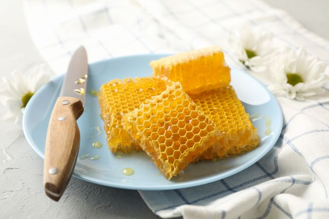 Plate with honeycombs and knife on neutral background, space for text