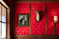 Mounted deer head and old western portrait on red wall, by window, Old Trail Town, in Cody, Wyoming 56GDl4