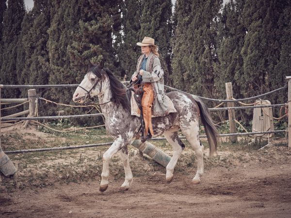 Adult woman riding horse on paddock near the forest
