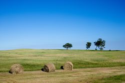 Hay bales in a field, rural Nebraska v4Ne85