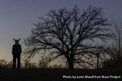 Person in haunting horned mask standing ominously next to a a tree at dusk 5XYnM4