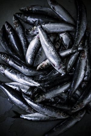 Tray with fresh fish