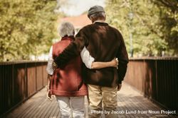 Rear view of older couple walking through a park with their arms around each other in the fall 0LYrE5