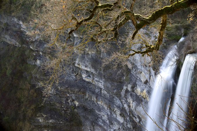 Autumn tree and waterfall