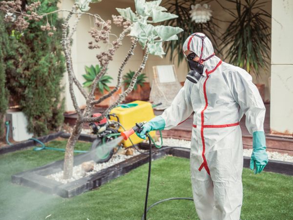Fumigator in uniform spraying substance on garden