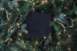 Christmas tree branches with lights and dark paper card note