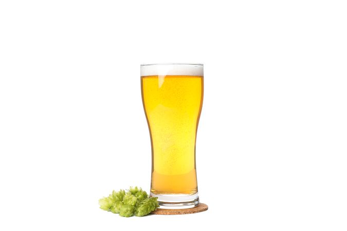 Glass of beer and hop cones isolated on studio background