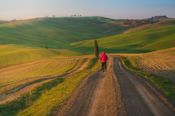 Traveling man walking on green rural road