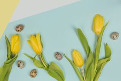 Fresh yellow flowers and easter eggs with green leaves