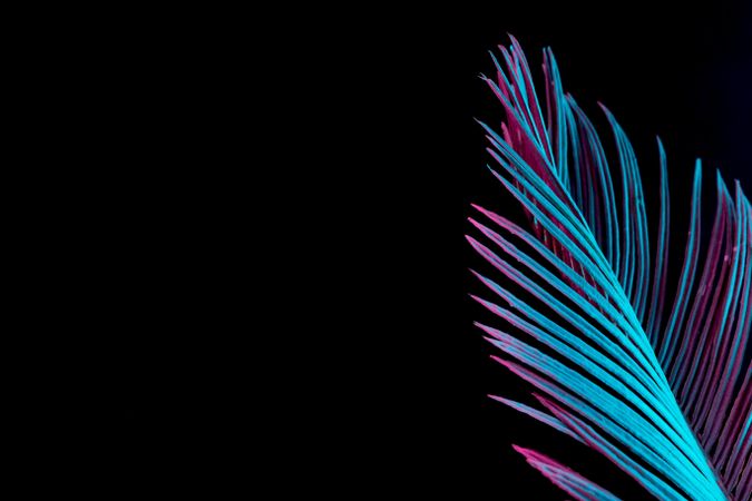Tropical palm leaf in vibrant bold gradient blue and pink holographic neon  colors