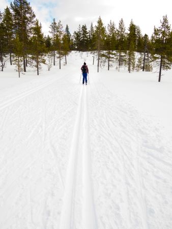 Back of person cross country skiing in forest