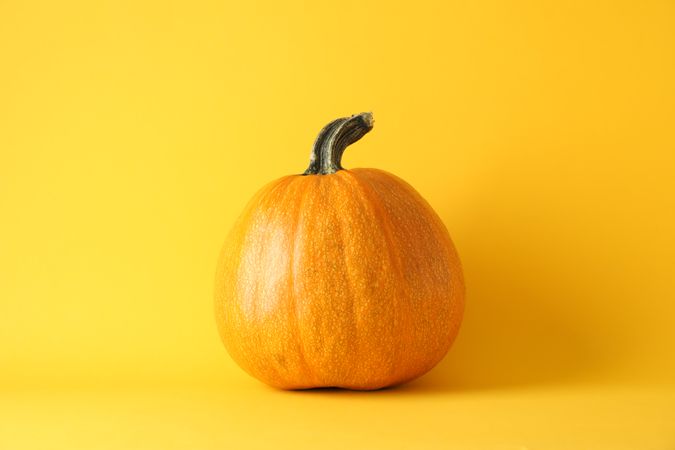 Pumpkin on yellow background, space for text