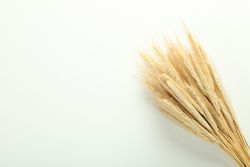 Top view of bunch of dried flowers with copy space