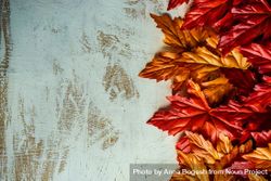 Flatlay of autumn leaves on rustic background with space for text bEwQ75