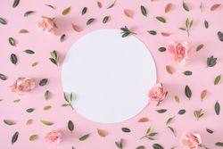 Pink flowers and green leaves with light  paper circle on pink background