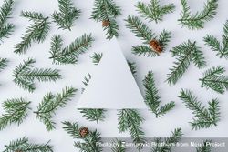 Fir branch pattern on light background with paper tree shape 0LPKA0