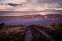 Tire tracks in the mountains at dusk