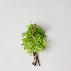 Tree made of leaves and branches