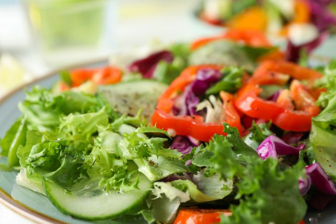 Fresh salad in plate on light background, close up