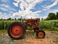 Rusty vintage tractor near cornfield a0LDE0