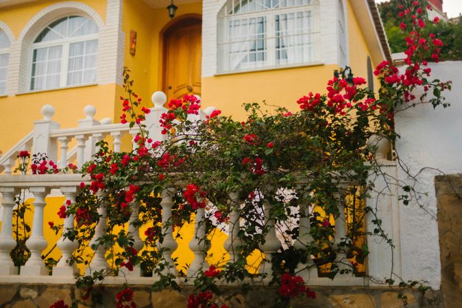 Beautiful flowers near old building